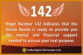 
ANGEL NUMBER 142
