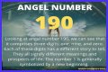 
ANGEL NUMBER 190
