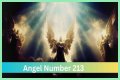 
ANGEL NUMBER 213
