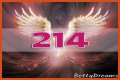 
ANGEL NUMBER 214
