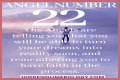 
ANGEL NUMBER 22
