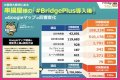 BridgePlus Manual