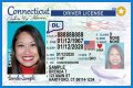 Dan Firkus Trixie Mattel Brother Has A Funny Driver’s License Photo