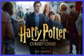 Harry Potter and The Cursed Child: The Sequel
