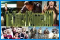 The Movies of Summer 2010