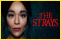 “The Strays” Is Set To Released On Netflix